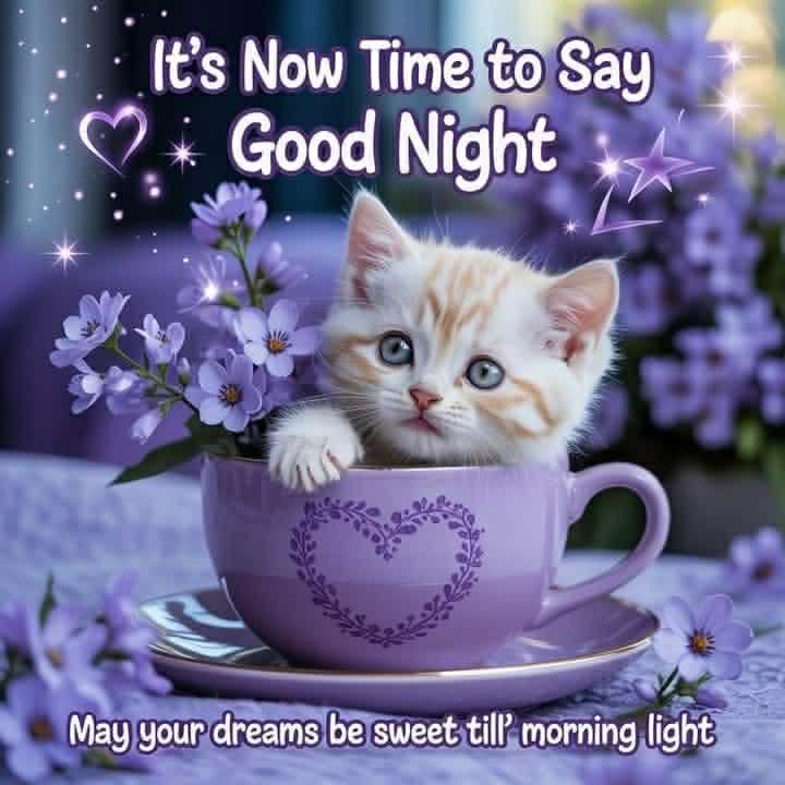 Latestsms.in Presents Beautiful Good Night Images to Make Every Wish Meaningful