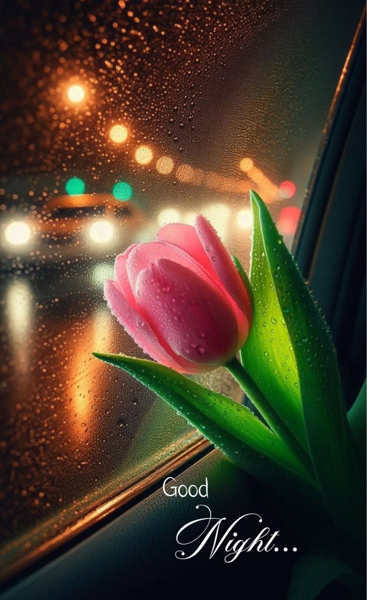 Good night pictures Good night pictures