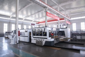 From Domestic Expertise to Global Stage Strategic Growth of a Leading Carton Pri