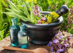 Medicinal & Aromatic Plants Announcing Hefty Discounts on Article Processing Charges