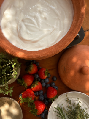 Hydrating Yogurt Made in a Miriam