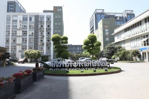Hangzhou Dongtian Technology Co Ltd