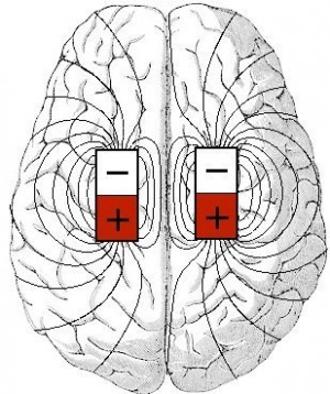 Magnetic Brain