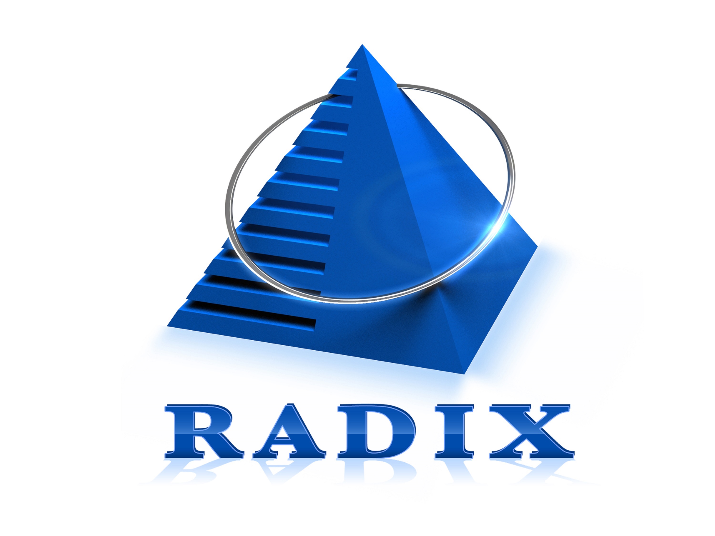 Radixweb Celebrates 26 Years of Software Excellence and Advances Its Vision for AI-Driven Digital Engineering