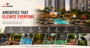 hero homes greater noida amenities