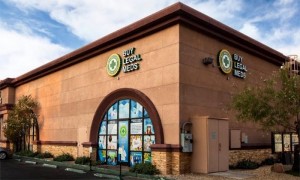 With 1.5 mm customers BuyLegalMeds.com leads the way in alternative medicine & CBD