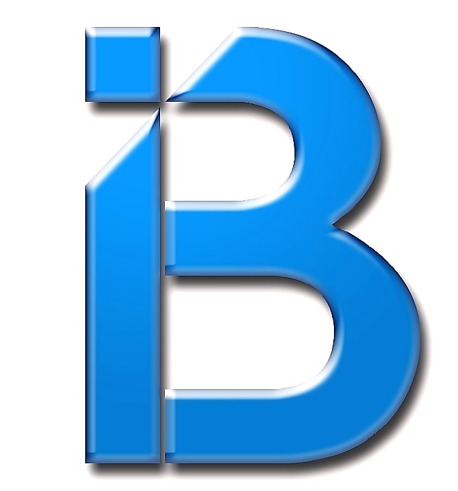 iBidd Pitch iBidd Pitch