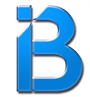 iBidd Pitch