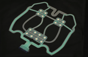 Membrane Switch
