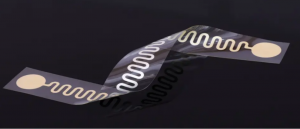 Flexible Printed Electronics