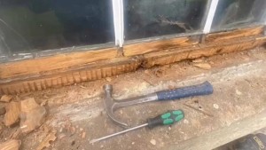 Sash Window Sill Rot