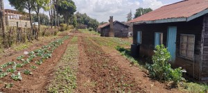 Kyoto Network project team driving green solutions in Kaptagat.