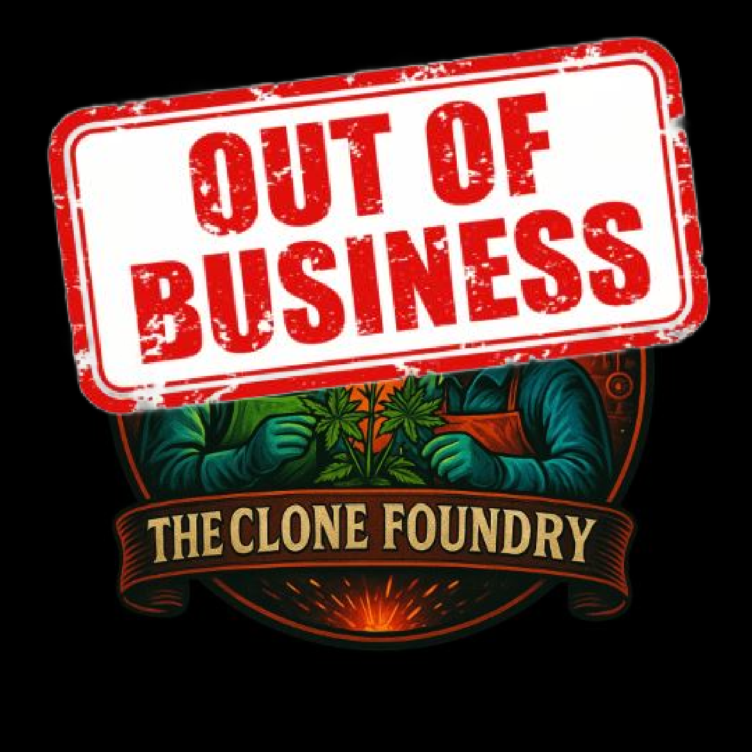 theclonefoundry com out of business 1 theclonefoundry com out of business 1