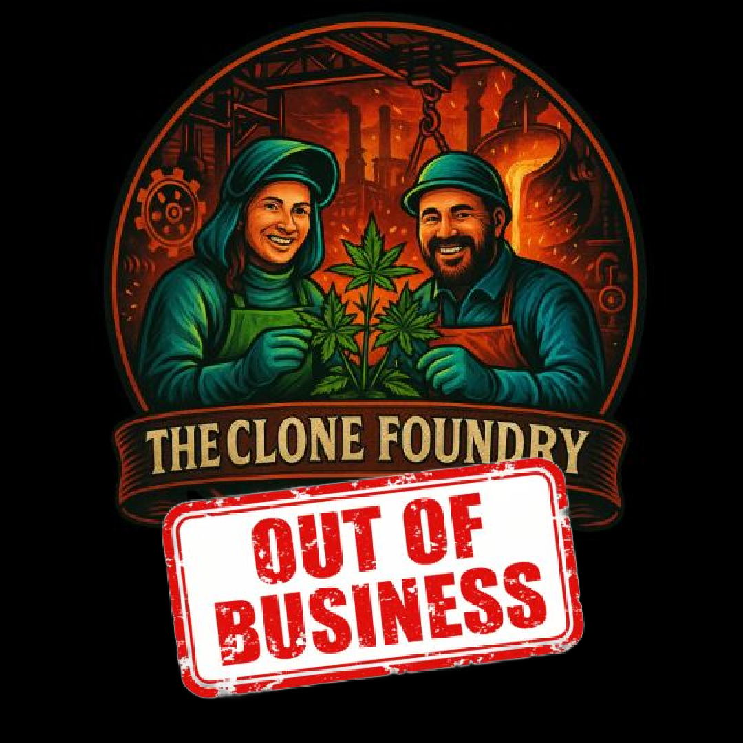 theclonefoundry com out of business theclonefoundry com out of business