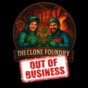 theclonefoundry com out of business