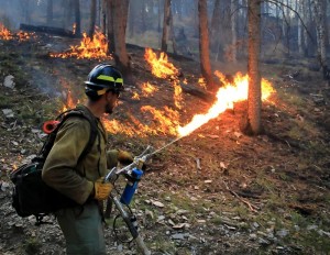 Avenue Dental Care North Spokane Salutes Firefighters and First Responders for Their Service