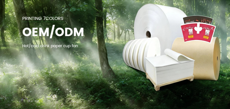 Top 10 Paper Cup Roll Manufacturer Top 10 Paper Cup Roll Manufacturer