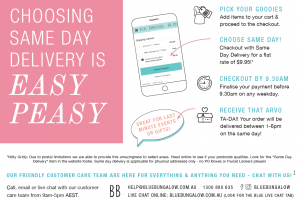 Same Day Delivery Instructions