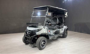 China Leading Golf Cart Exporter
