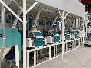 20TPD Maize Flour Milling Machines In Integrated Process Line