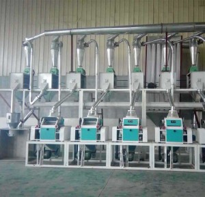 Roller Mills Installed In A Large Maize Production Line