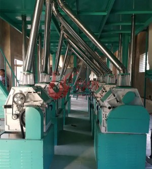 50 Ton Maize Milling Machines For Production Configuration
