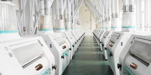 FMFQ Roller Mill Row For Wheat Plant Automation