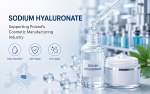 Sodium Hyaluronate