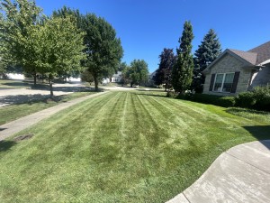 Residential landscaping by Evo Lawn & Landscape in Gurnee, Illinois.