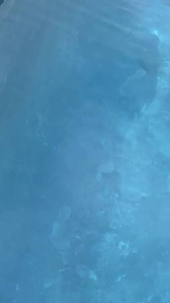 foot prints foot prints