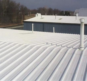 Twinwall PVC Roof Panels