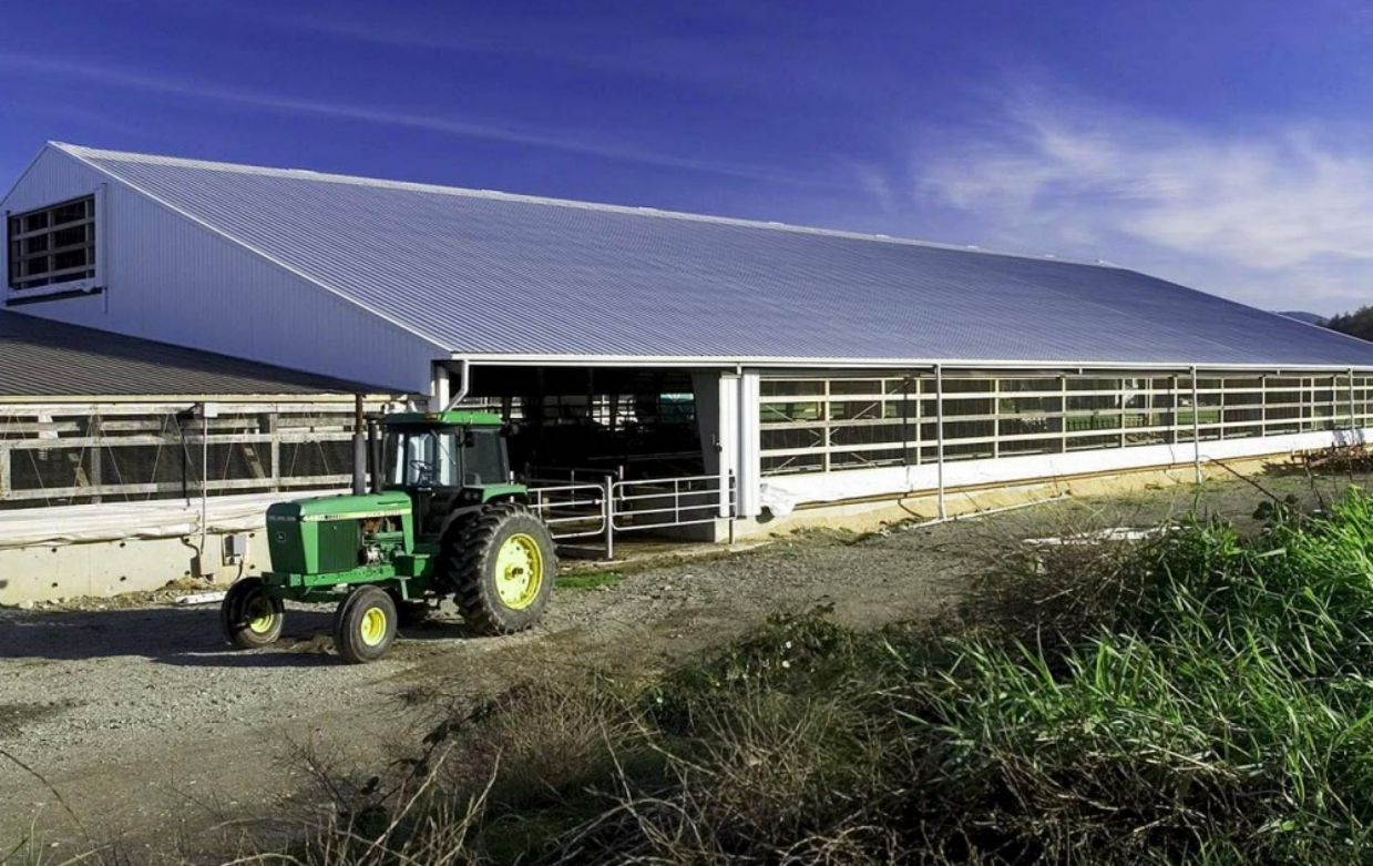 Ribbed PVC Roof Panel Enterprise Ribbed PVC Roof Panel Enterprise