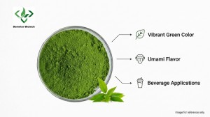 Demeter Biotech Matcha Powder product efficacy infographic