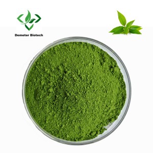 Demeterherb China Wholesale Matcha Powder For Beverage Industry