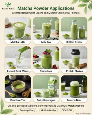 Demeterherb Matcha Powder Beverage Applications