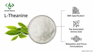Demeter Biotech L Theanine product efficacy infographic