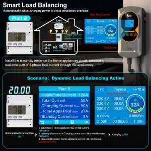 Pisces Series Wallbox with DLB 4
