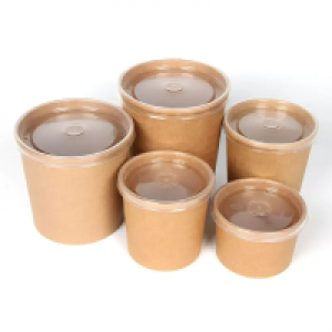 LvSheng Coordinated Kraft Bowls with Clear PET Lids