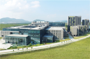 One stop OEM LSR Molding Supplier from China
