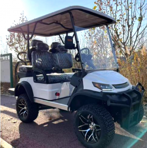 Strategic Path to WMI Compliance: How LEIFA Becomes a Reliable Custom Lifted Golf Cart Manufacturer