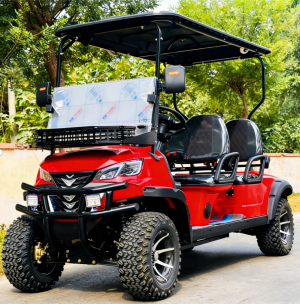 Golf Buggy Electric Company