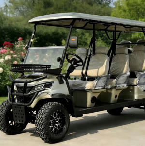 Electric Golf Buggy