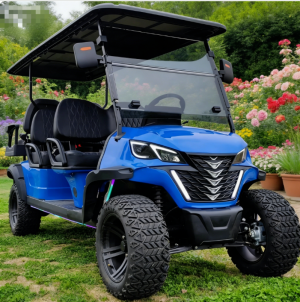 Premium Electric Golf Buggy