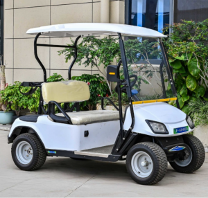 Golf Buggy Electric