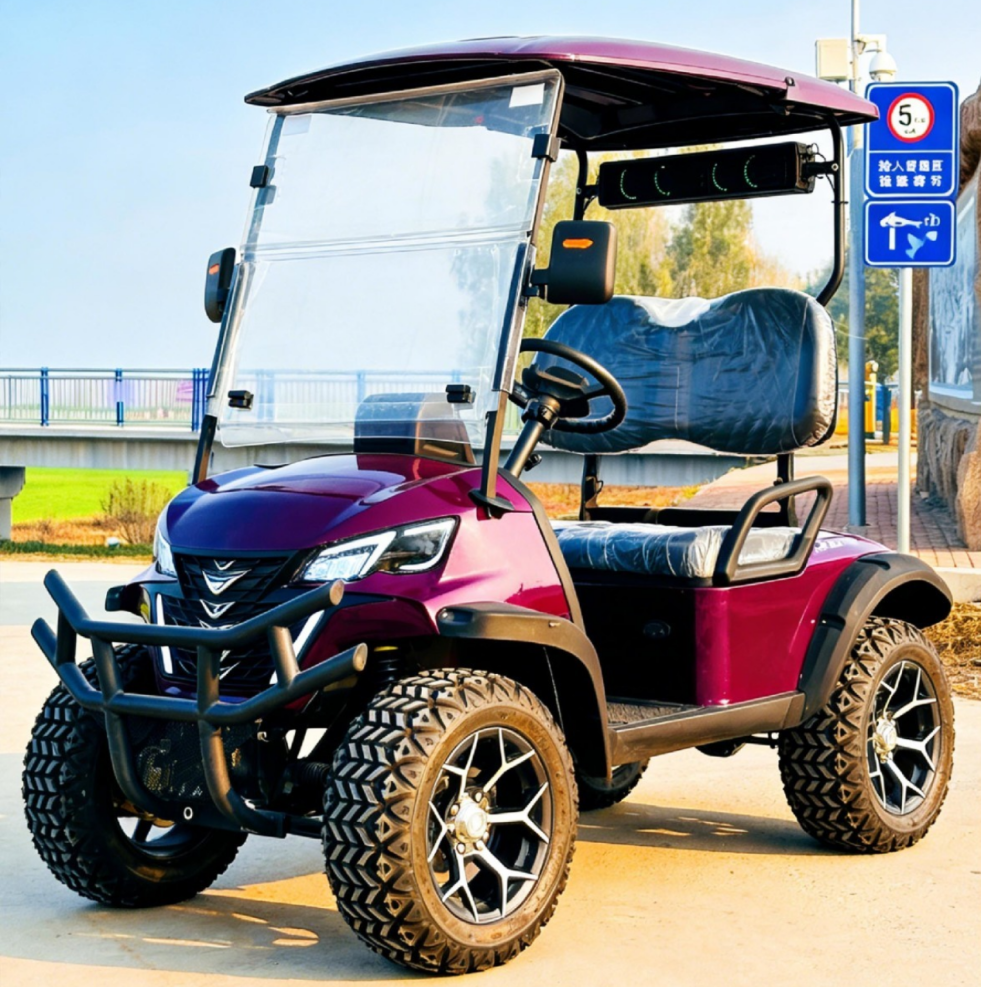 Homologated Golf Cart Homologated Golf Cart