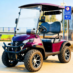 Homologated Golf Cart