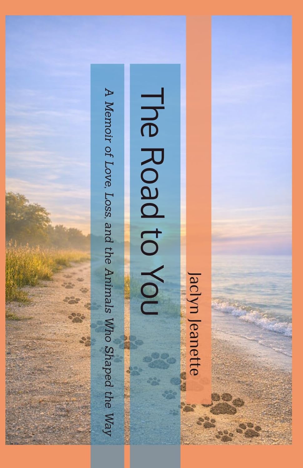 ebook cover