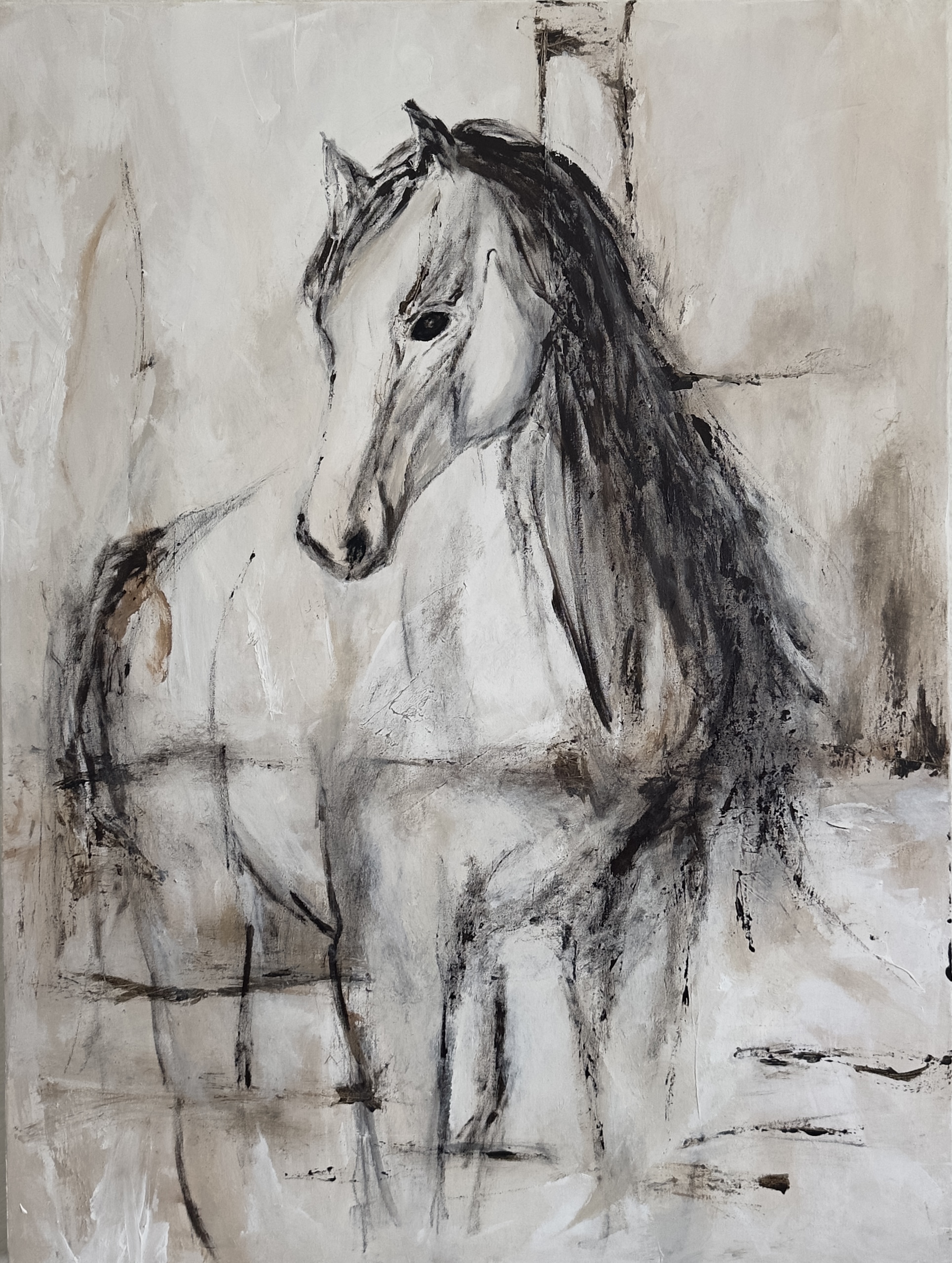 white horse white horse