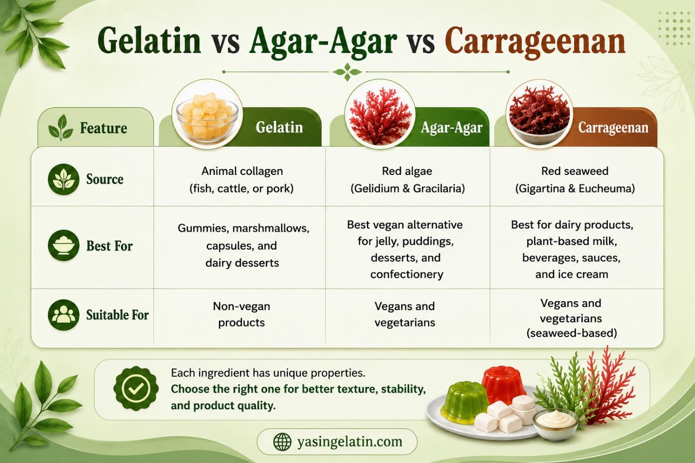 Gelatin vs Agar Agar vs Carrageenan Gelatin vs Agar Agar vs Carrageenan