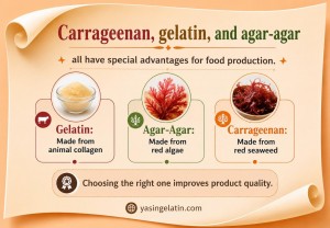 Gelatin vs Agar Agar vs Carrageenan 1